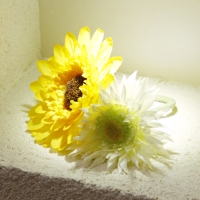 素材_花.jpg